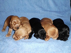 Gruppenkuscheln2